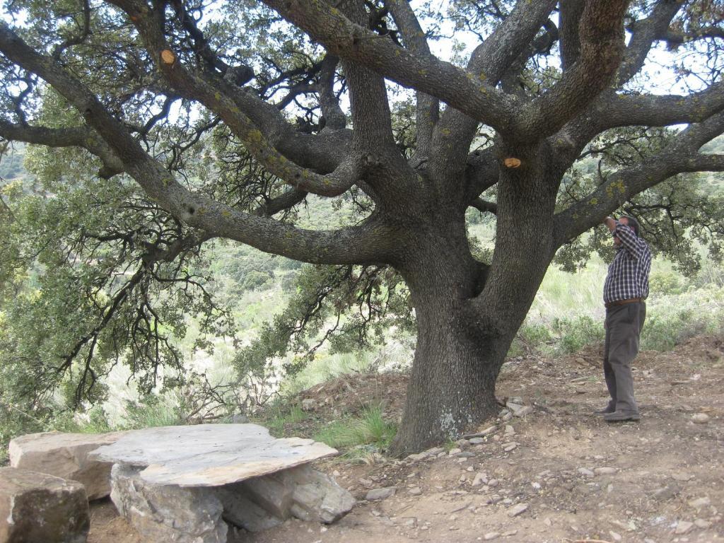 Penzion Reul Alto Cortijos Rurales Laroya Pokoj fotografie